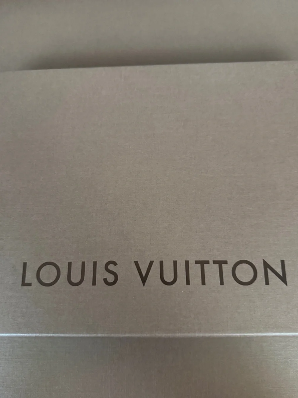 Louis Vuitton elegant louis